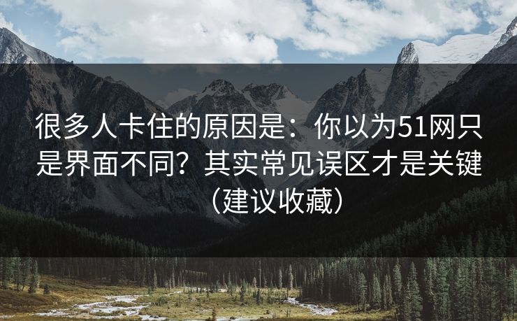 很多人卡住的原因是:你以为51网只是界面不同?其实常见误区才是关键(建议收藏) 很多人卡住的原因是:你以为51网只是界面不同?其实常见误区才是关键(建议收藏)