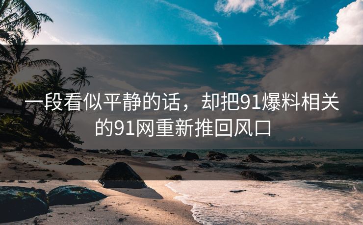 一段看似平静的话，却把91爆料相关的91网重新推回风口
