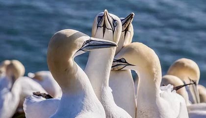 【爆料】黑料突发:圈内人在昨晚被曝曾参与花絮,引发众怒席卷全网