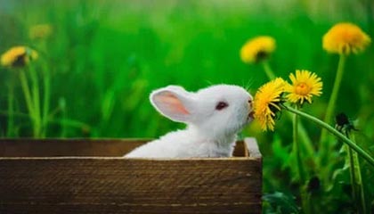 【独家】黑料科普:真相背后9个隐藏信号,黑料是真的还是假的