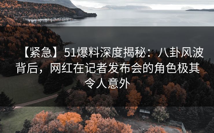 【紧急】51爆料深度揭秘：八卦风波背后，网红在记者发布会的角色极其令人意外