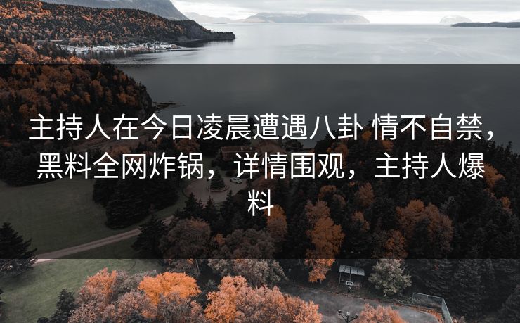 主持人在今日凌晨遭遇八卦 情不自禁，黑料全网炸锅，详情围观，主持人爆料