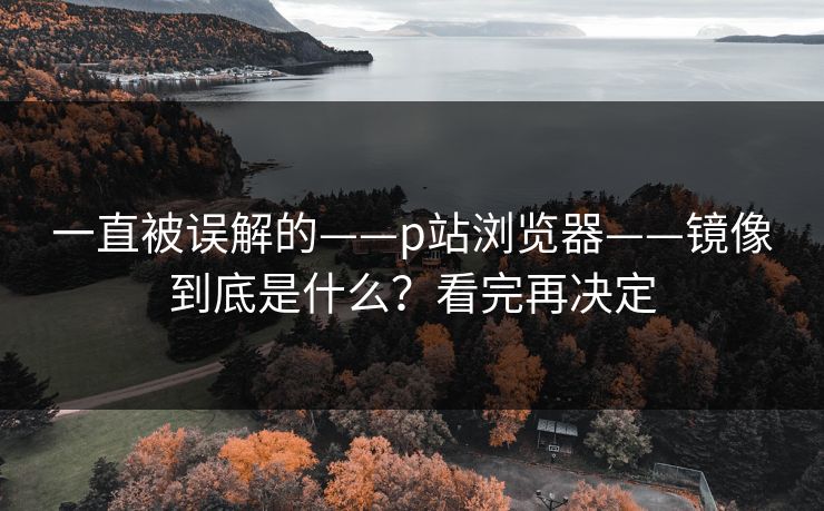 一直被误解的——p站浏览器——镜像到底是什么？看完再决定