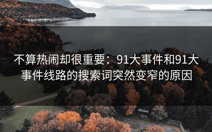 不算热闹却很重要：91大事件和91大事件线路的搜索词突然变窄的原因